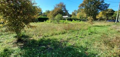 Terrain seul à Louchats en Gironde (33) de 6050 m² à vendre au prix de 137000€ - 2