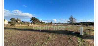 Terrain seul à Saint-Pierre-Quiberon en Morbihan (56) de 282 m² à vendre au prix de 147500€ - 1
