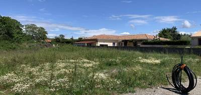 Terrain seul à Toulouse en Haute-Garonne (31) de 1000 m² à vendre au prix de 150000€ - 2