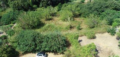 Terrain seul à Oletta en Haute-Corse (2B) de 3218 m² à vendre au prix de 280000€ - 3