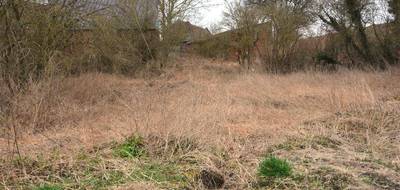 Terrain seul à Orsinval en Nord (59) de 958 m² à vendre au prix de 89450€ - 4