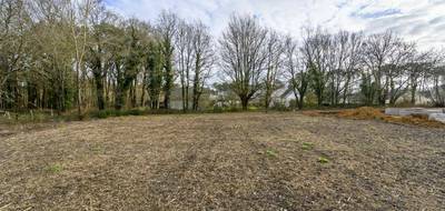 Terrain seul à Férel en Morbihan (56) de 1209 m² à vendre au prix de 169500€ - 2