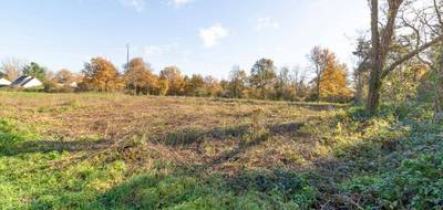 Terrain seul à Pruniers-en-Sologne en Loir-et-Cher (41) de 1151 m² à vendre au prix de 27990€ - 4