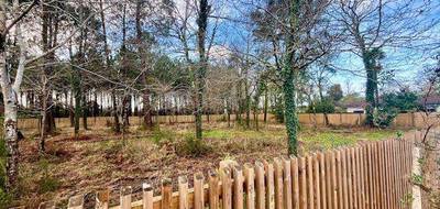 Terrain seul à Seignosse en Landes (40) de 930 m² à vendre au prix de 568000€ - 2