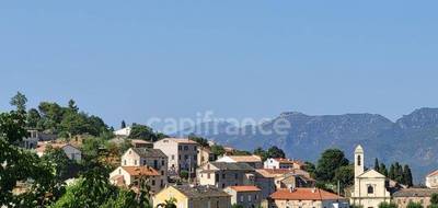 Terrain seul à Murato en Haute-Corse (2B) de 1139 m² à vendre au prix de 150900€ - 2