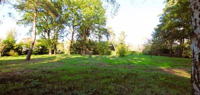 Terrain seul à Saint-Hilarion en Yvelines (78) de 1286 m² à vendre au prix de 138000€ - 2