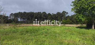 Terrain seul à Tosse en Landes (40) de 650 m² à vendre au prix de 288750€ - 2