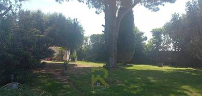 Terrain seul à Cers en Hérault (34) de 800 m² à vendre au prix de 255000€ - 3