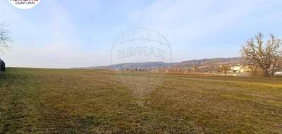 Terrain seul à Waldighofen en Haut-Rhin (68) de 1145 m² à vendre au prix de 68000€ - 1