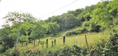 Terrain seul à Bor-et-Bar en Aveyron (12) de 1675 m² à vendre au prix de 15000€ - 3