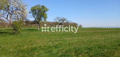 Terrain seul à Drachenbronn-Birlenbach en Bas-Rhin (67) de 2000 m² à vendre au prix de 132000€ - 3