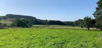 Terrain seul à Neuvic-Entier en Haute-Vienne (87) de 2880 m² à vendre au prix de 28000€ - 1