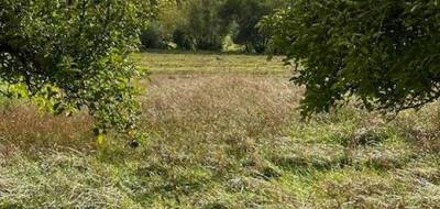 Terrain seul à Moncel-sur-Seille en Meurthe-et-Moselle (54) de 1279 m² à vendre au prix de 55000€ - 1