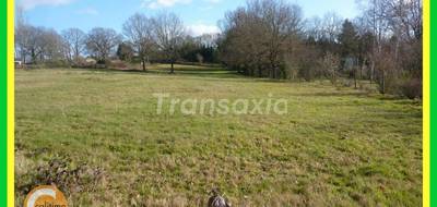 Terrain seul à Vallon-en-Sully en Allier (03) de 9840 m² à vendre au prix de 64000€ - 3