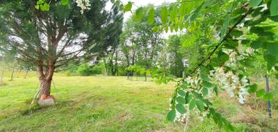 Terrain seul à Pontonx-sur-l'Adour en Landes (40) de 2390 m² à vendre au prix de 95990€ - 3