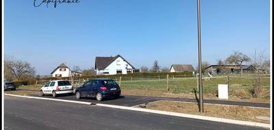 Terrain seul à Asswiller en Bas-Rhin (67) de 2319 m² à vendre au prix de 96000€ - 4
