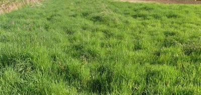 Terrain seul à Semur-en-Auxois en Côte-d'Or (21) de 1200 m² à vendre au prix de 30000€ - 2