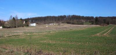 Terrain seul à Dampleux en Aisne (02) de 8000 m² à vendre au prix de 243500€ - 2