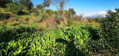 Terrain seul à Ajaccio en Corse-du-Sud (2A) de 1500 m² à vendre au prix de 300000€ - 3