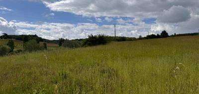 Terrain seul à Puymirol en Lot-et-Garonne (47) de 1010 m² à vendre au prix de 51000€ - 3