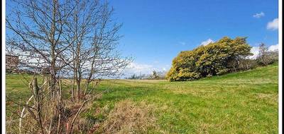 Terrain seul à Moissac en Tarn-et-Garonne (82) de 1452 m² à vendre au prix de 35000€ - 3