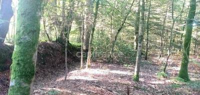 Terrain seul à Landévant en Morbihan (56) de 2042 m² à vendre au prix de 91900€ - 4