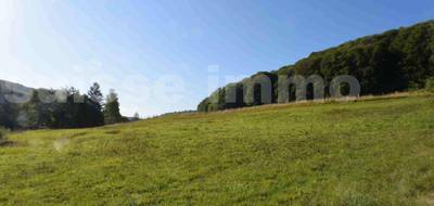 Terrain seul à Sancey en Doubs (25) de 1105 m² à vendre au prix de 47000€ - 3