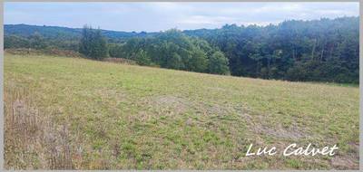 Terrain seul à Le Born en Haute-Garonne (31) de 1970 m² à vendre au prix de 78500€ - 1