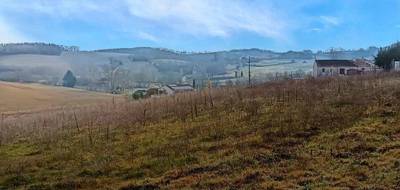 Terrain seul à Graulhet en Tarn (81) de 1250 m² à vendre au prix de 45000€ - 3