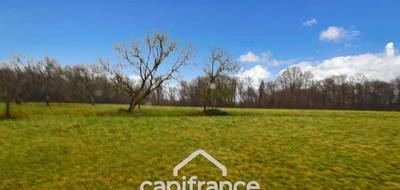 Terrain seul à Sagy en Saône-et-Loire (71) de 16788 m² à vendre au prix de 39000€ - 4