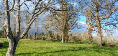 Terrain seul à Hinx en Landes (40) de 2825 m² à vendre au prix de 152500€ - 1