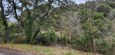 Terrain seul à Collobrières en Var (83) de 41460 m² à vendre au prix de 34000€ - 1