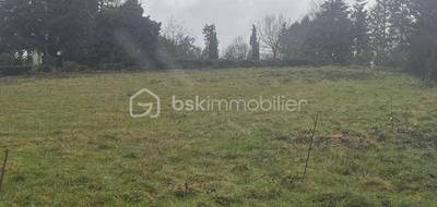 Terrain seul à Plumelec en Morbihan (56) de 2400 m² à vendre au prix de 105000€ - 2