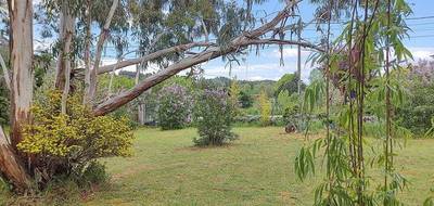 Terrain seul à Rousson en Gard (30) de 1869 m² à vendre au prix de 90000€ - 3