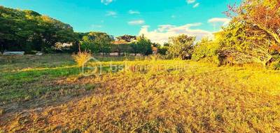 Terrain seul à Puilacher en Hérault (34) de 558 m² à vendre au prix de 140000€ - 1