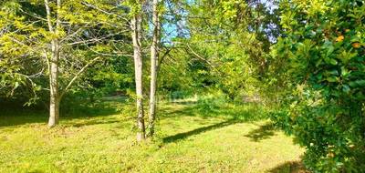 Terrain seul à San-Nicolao en Haute-Corse (2B) de 2200 m² à vendre au prix de 215000€ - 2