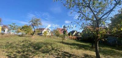 Terrain seul à Dettwiller en Bas-Rhin (67) de 1000 m² à vendre au prix de 131000€ - 1