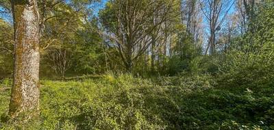 Terrain seul à Villefranche-sur-Cher en Loir-et-Cher (41) de 6804 m² à vendre au prix de 65990€ - 4