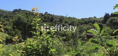 Terrain seul à Mazamet en Tarn (81) de 1600 m² à vendre au prix de 44000€ - 1