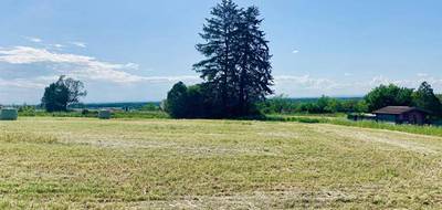 Terrain seul à Saint-Amour en Jura (39) de 4000 m² à vendre au prix de 90000€ - 1