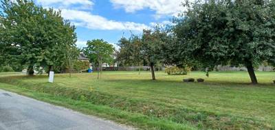 Terrain seul à Saint-Dolay en Morbihan (56) de 939 m² à vendre au prix de 66800€ - 2