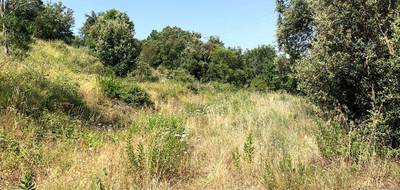 Terrain seul à Quintillan en Aude (11) de 1792 m² à vendre au prix de 60000€ - 4