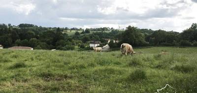 Terrain seul à Bagnac-sur-Célé en Lot (46) de 23408 m² à vendre au prix de 92500€ - 1