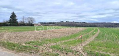 Terrain seul à Torfou en Essonne (91) de 1084 m² à vendre au prix de 125000€ - 2