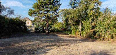 Terrain seul à Gournay-sur-Marne en Seine-Saint-Denis (93) de 489 m² à vendre au prix de 265000€ - 3