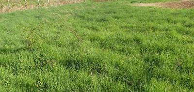 Terrain seul à Semur-en-Auxois en Côte-d'Or (21) de 1200 m² à vendre au prix de 30000€ - 1