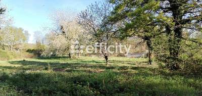 Terrain seul à Marcoussis en Essonne (91) de 2003 m² à vendre au prix de 325000€ - 3