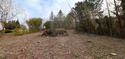 Terrain seul à Gy-l'Évêque en Yonne (89) de 3310 m² à vendre au prix de 19000€ - 1