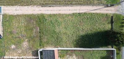 Terrain seul à La Chapelle-de-Guinchay en Saône-et-Loire (71) de 930 m² à vendre au prix de 97000€ - 4