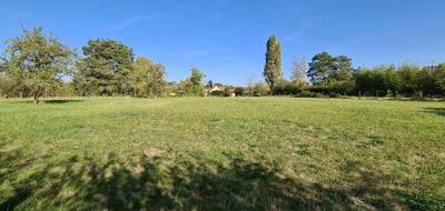 Terrain seul à Vendœuvres en Indre (36) de 2354 m² à vendre au prix de 33600€ - 1